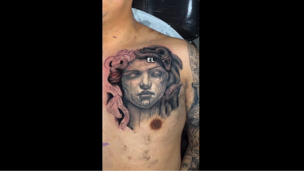 Diferencia entre grises y sumis